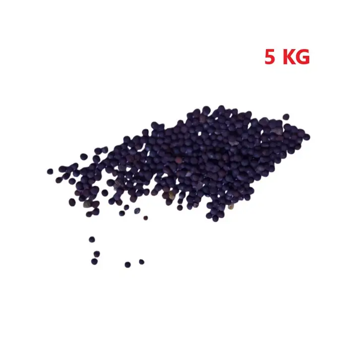 Yem Şalgamı Bitki Tohumu 5 Kg ürün görseli